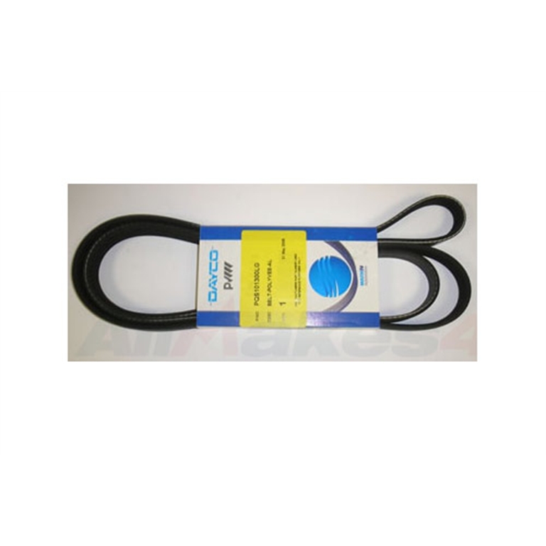 PQS101300LG