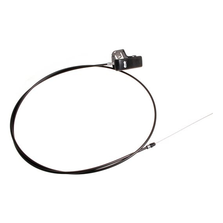 FSE100460