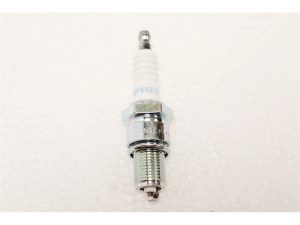 ERR743NGK - 