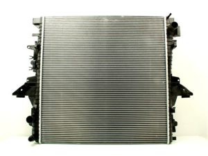 LR015560 - 