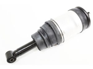 LR016419W - 