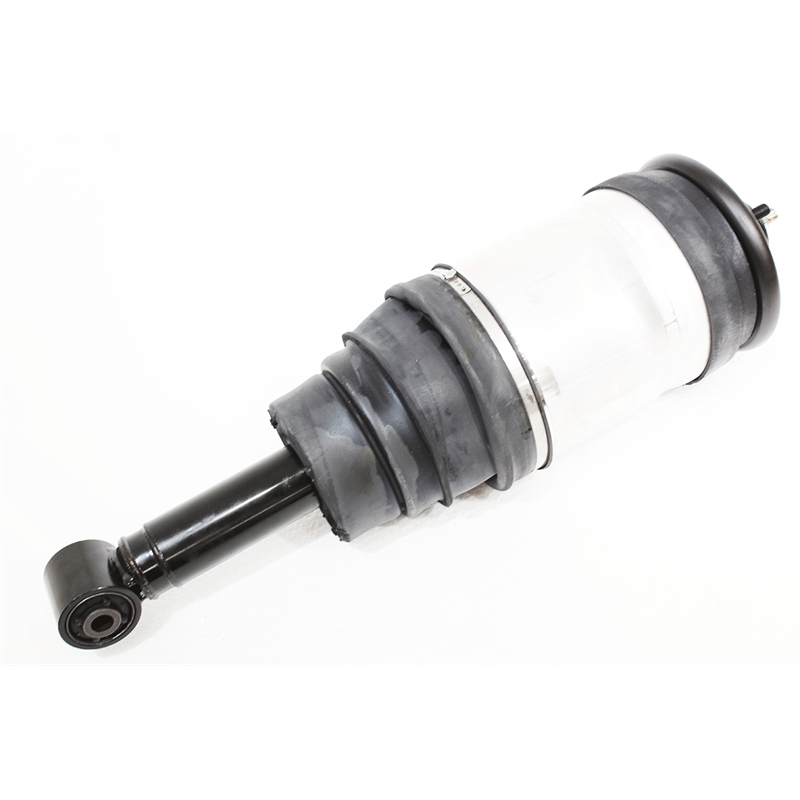 LR016419W - 