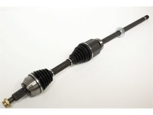 LR024754 - 