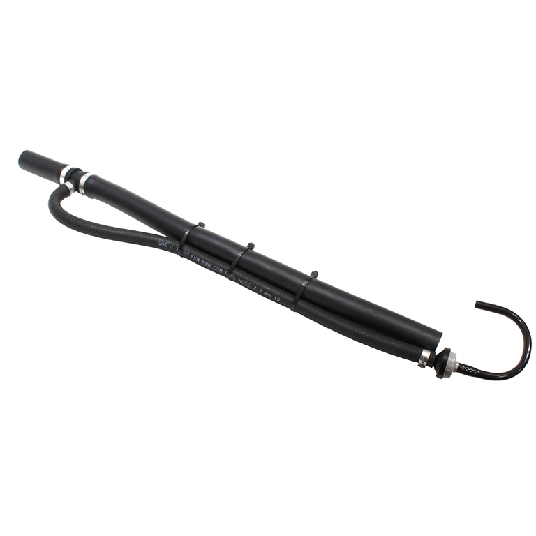 LR067195 -