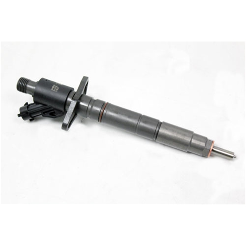 LR069236 - 