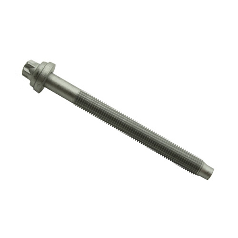 LR075366 -