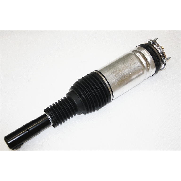 LR087096W -