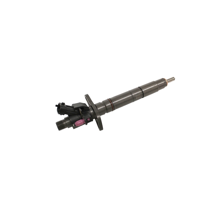 LR095361G -