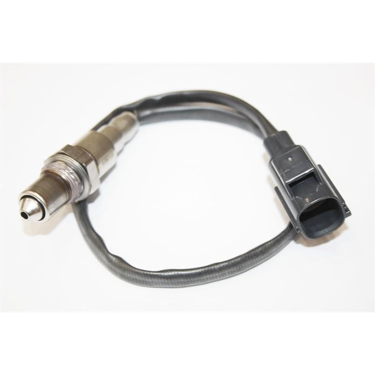 LR137406 -