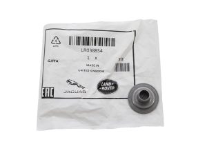 LR038854LR