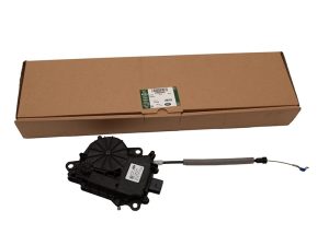 LR095549LR