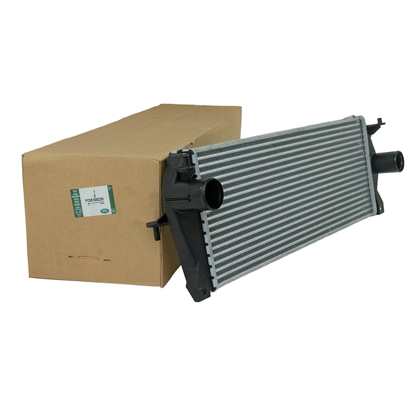 PCM100220LR
